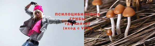 СК Абдулино