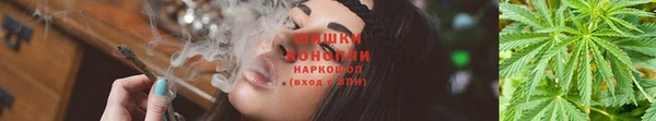 apvp Абаза