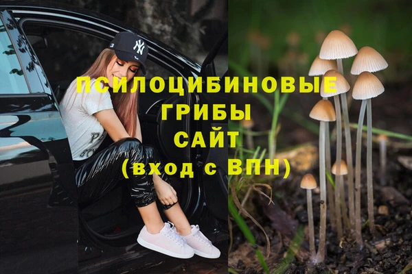 СК Абдулино