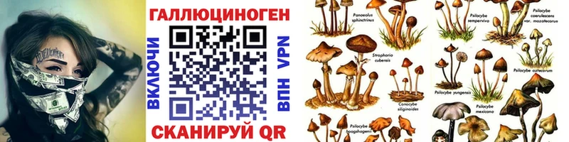 Галлюциногенные грибы прущие грибы Саранск
